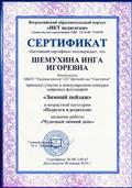 Сертификат участника международного конкурса цифровых фотографий "Зимний пейзаж".